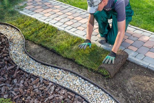 Landscaper laying fresh turf